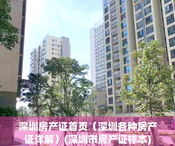 深圳房产证首页（深圳各种房产证详解）(深圳市房产证样本)