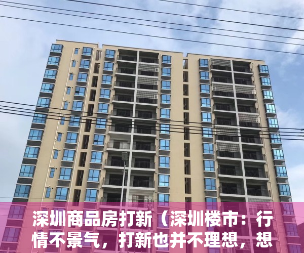 深圳商品房打新（深圳楼市：行情不景气，打新也并不理想，想置换房子，该怎么办？）