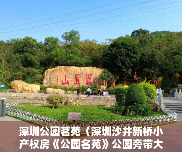 深圳公园茗苑（深圳沙井新桥小产权房《公园名苑》公园旁带大型停车场 两房首付18W起）