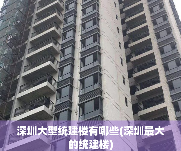 深圳大型统建楼有哪些(深圳最大的统建楼)