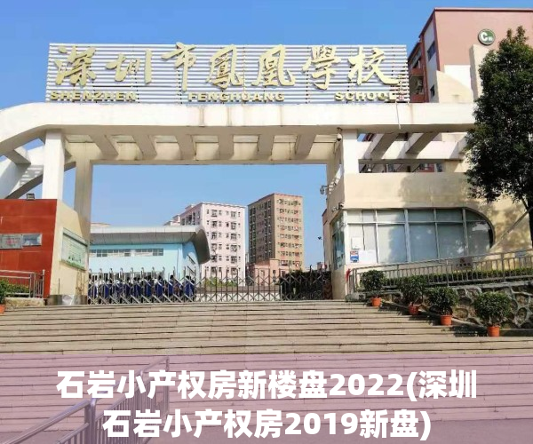 石岩小产权房新楼盘2022(深圳石岩小产权房2019新盘)