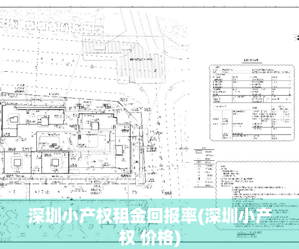 深圳小产权租金回报率(深圳小产权 价格)