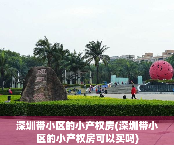 深圳带小区的小产权房(深圳带小区的小产权房可以买吗)