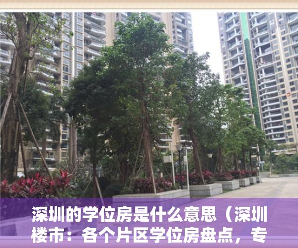 深圳的学位房是什么意思（深圳楼市：各个片区学位房盘点，专业的人告诉你怎么买学位房）