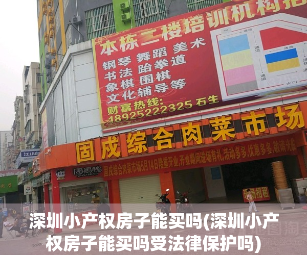 深圳小产权房子能买吗(深圳小产权房子能买吗受法律保护吗)