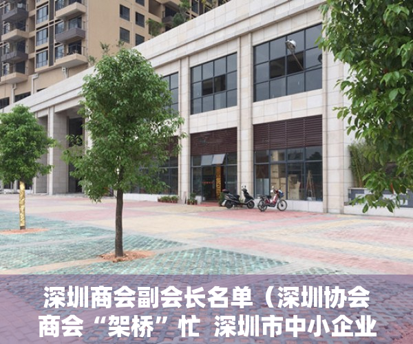 深圳商会副会长名单（深圳协会商会“架桥”忙  深圳市中小企业发展促进会：急中小微企业之所急）