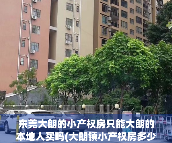 东莞大朗的小产权房只能大朗的本地人买吗(大朗镇小产权房多少钱一平)