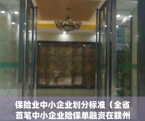 保险业中小企业划分标准（全省首笔中小企业险保单融资在赣州落地）(中小企业综合保险指什么保险)