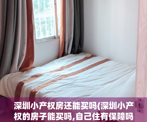 深圳小产权房还能买吗(深圳小产权的房子能买吗,自己住有保障吗?)