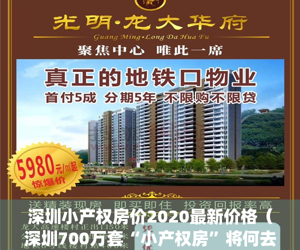 深圳小产权房价2020最新价格（深圳700万套“小产权房”将何去何从）(深圳小产权房最新政策2021房价)