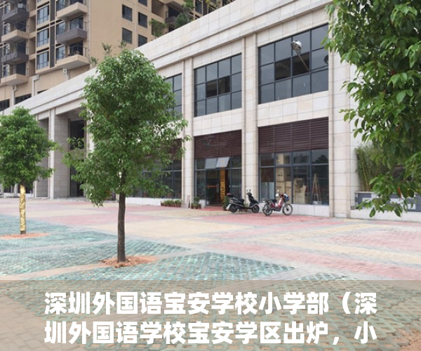 深圳外国语宝安学校小学部（深圳外国语学校宝安学区出炉，小产权房也能入名校。）