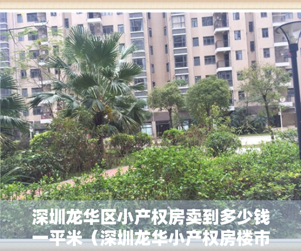 深圳龙华区小产权房卖到多少钱一平米（深圳龙华小产权房楼市终于迎来爆发期，实探近期销量最火爆新楼盘）