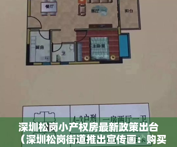 深圳松岗小产权房最新政策出台（深圳松岗街道推出宣传画：购买小产权房，你买到的将是个隐患）