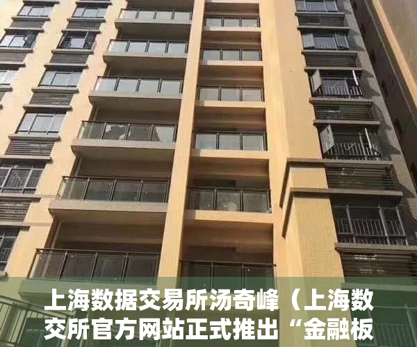 上海数据交易所汤奇峰（上海数交所官方网站正式推出“金融板块”信息平台）