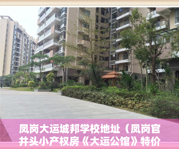 凤岗大运城邦学校地址（凤岗官井头小产权房《大运公馆》特价三房598万套，民用水电）