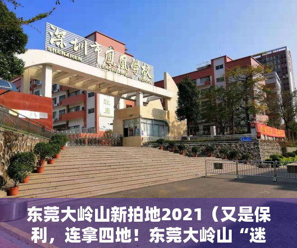 东莞大岭山新拍地2021（又是保利，连拿四地！东莞大岭山“迷你”商住地成功出让）