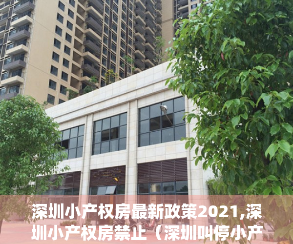 深圳小产权房最新政策2021,深圳小产权房禁止（深圳叫停小产权、回迁房交易！二手房成交量骤降超80%！_深圳新闻网）