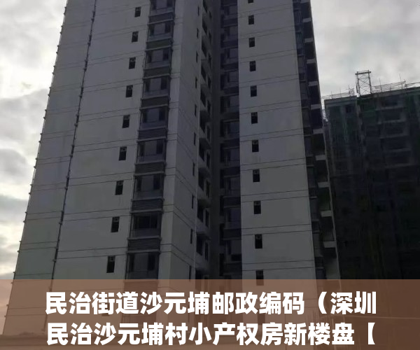 民治街道沙元埔邮政编码（深圳民治沙元埔村小产权房新楼盘【民治经典】出售 电梯精装现房 1梯4户 带管道燃气 668万套起 (图文)）