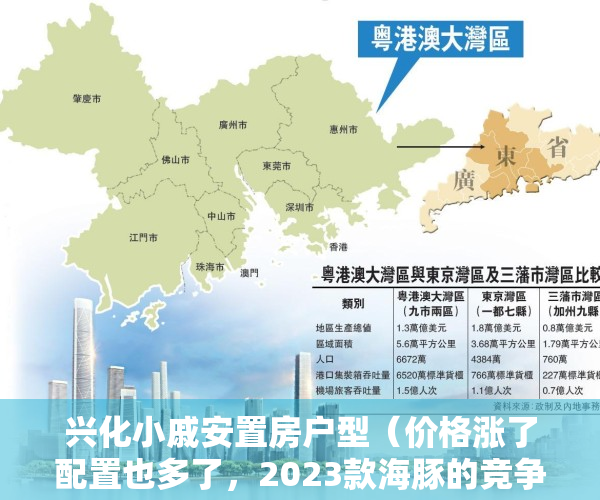 兴化小戚安置房户型（价格涨了配置也多了，2023款海豚的竞争力强化在了哪儿？）