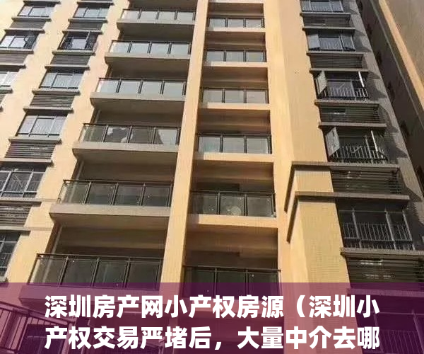 深圳房产网小产权房源（深圳小产权交易严堵后，大量中介去哪儿了？）(深圳小产权房直售平台)