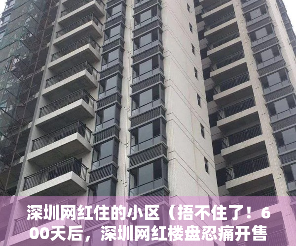 深圳网红住的小区（捂不住了！600天后，深圳网红楼盘忍痛开售，比周边二手房便宜百万）