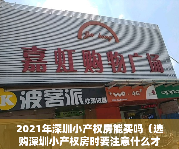 2021年深圳小产权房能买吗（选购深圳小产权房时要注意什么才能避免损失？）