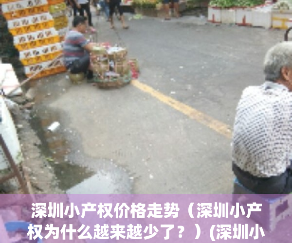 深圳小产权价格走势（深圳小产权为什么越来越少了？）(深圳小产权暴涨30%)