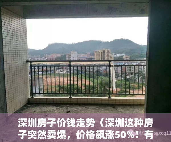 深圳房子价钱走势（深圳这种房子突然卖爆，价格飙涨50%！有人一口气买好几套！）