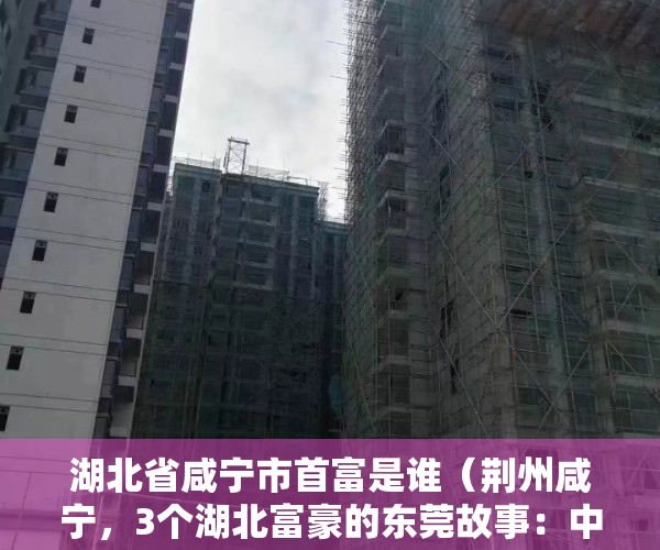 湖北省咸宁市首富是谁（荆州咸宁，3个湖北富豪的东莞故事：中专生在苏州做出科创板公司）