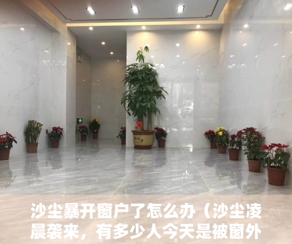 沙尘暴开窗户了怎么办（沙尘凌晨袭来，有多少人今天是被窗外风沙声吵醒的）