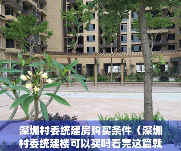 深圳村委统建房购买条件（深圳村委统建楼可以买吗看完这篇就知道了！）