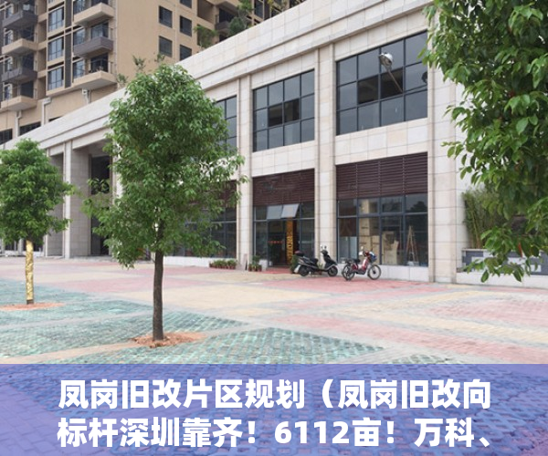 凤岗旧改片区规划（凤岗旧改向标杆深圳靠齐！6112亩！万科、佳兆业、鸿荣源挑大梁）