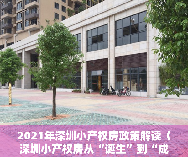 2021年深圳小产权房政策解读（深圳小产权房从“诞生”到“成长”的历史过程）