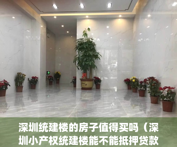 深圳统建楼的房子值得买吗（深圳小产权统建楼能不能抵押贷款？）(深圳统建楼可以按揭吗)