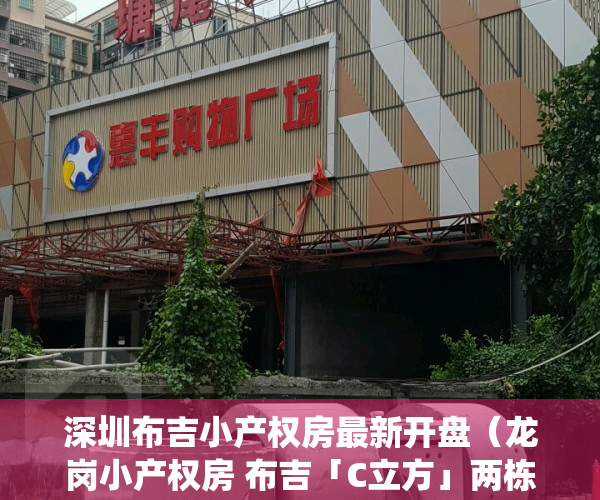 深圳布吉小产权房最新开盘（龙岗小产权房 布吉「C立方」两栋花园统建楼 带花园地下车库）