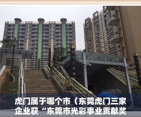 虎门属于哪个市（东莞虎门三家企业获“东莞市光彩事业贡献奖”荣誉奖项）