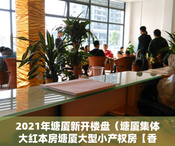 2021年塘厦新开楼盘（塘厦集体大红本房塘厦大型小产权房【香蜜国际】1000户大社区首付3成分期8年 粤赣高铁站500米塘厦大规模小产权房开盘）