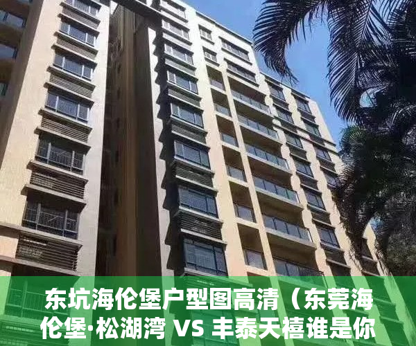 东坑海伦堡户型图高清（东莞海伦堡·松湖湾 VS 丰泰天禧谁是你的菜）