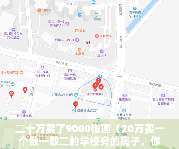 二十万买了9000张画（20万买一个数一数二的学校旁的房子，你还在等什么呢？「枫尚学府」-枫尚学府）