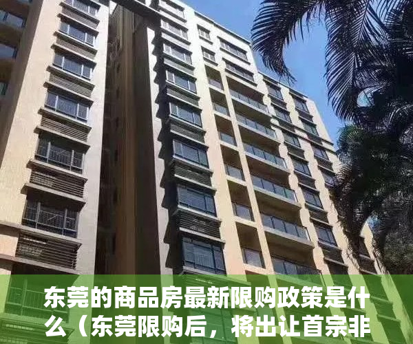 东莞的商品房最新限购政策是什么（东莞限购后，将出让首宗非限价商住地，起始地价3060元㎡）