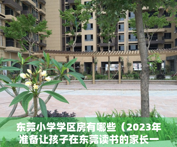 东莞小学学区房有哪些（2023年准备让孩子在东莞读书的家长一定收藏这份小学学区划分图）