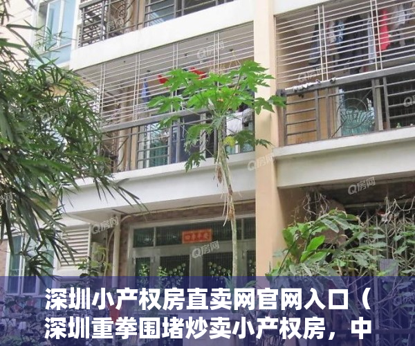 深圳小产权房直卖网官网入口（深圳重拳围堵炒卖小产权房，中介门店大范围歇业，投资客又看向东莞）