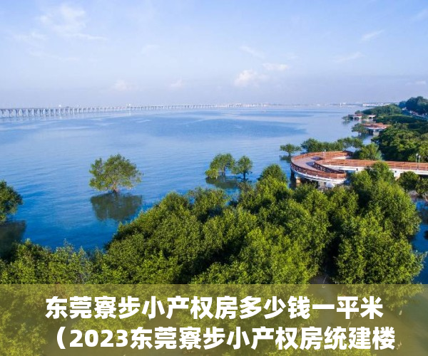 东莞寮步小产权房多少钱一平米（2023东莞寮步小产权房统建楼信息总览表！）