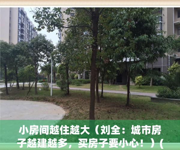 小房间越住越大（刘全：城市房子越建越多，买房子要小心！）(小房子越住越大3在线阅读)