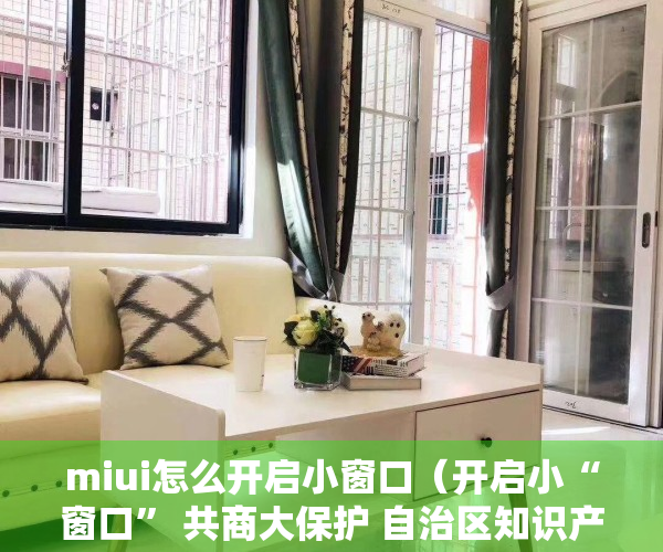 miui怎么开启小窗口（开启小“窗口” 共商大保护 自治区知识产权保护中心设立“知识产权检察保护联络点”）