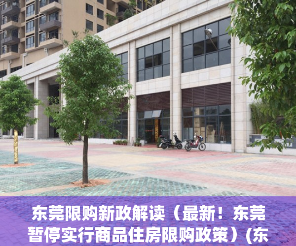 东莞限购新政解读（最新！东莞暂停实行商品住房限购政策）(东莞限购政策2020最新细则)