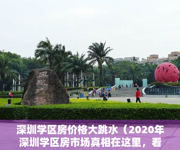 深圳学区房价格大跳水（2020年深圳学区房市场真相在这里，看懂再下手！）