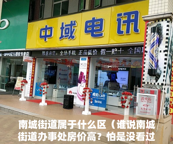 南城街道属于什么区（谁说南城街道办事处房价高？怕是没看过这个小区，晶城踩盘）