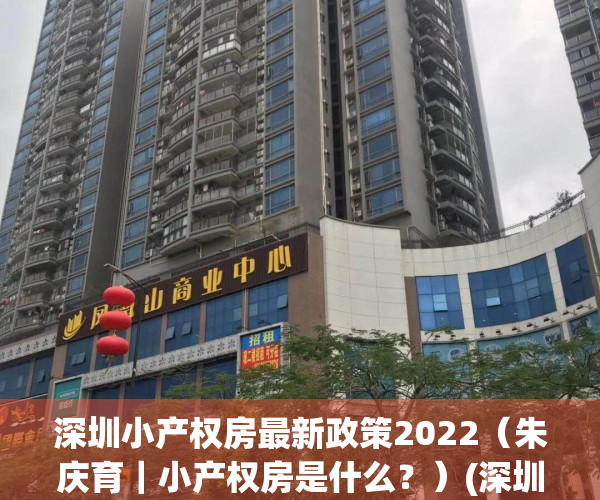 深圳小产权房最新政策2022（朱庆育｜小产权房是什么？）(深圳小产权2021年火了)