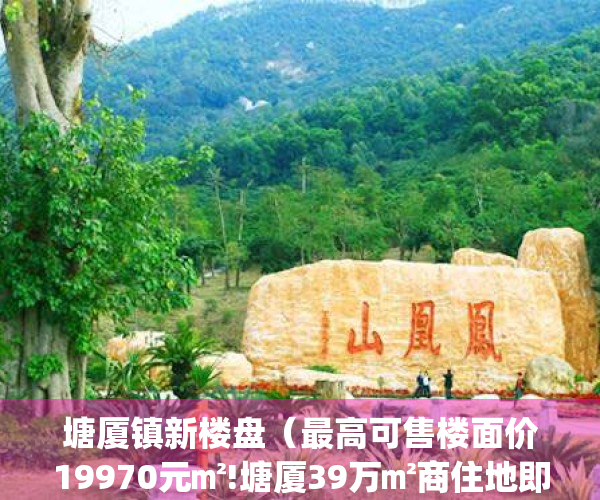 塘厦镇新楼盘（最高可售楼面价19970元㎡!塘厦39万㎡商住地即将出让）(塘厦新楼盘2021)